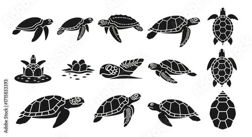 Expressive Sea Turtle Icons and Life Cycle Set