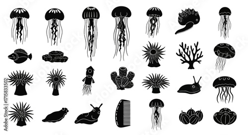 Marine Invertebrate Icons: Jellyfish, Sea Anemone, Sea Sponge Set