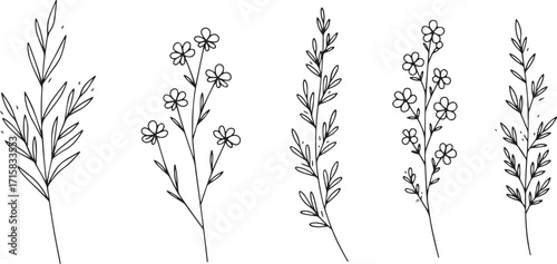 Elegant Botanical Line Art Flower Set