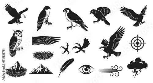 Organic Fluid Silhouettes of Majestic Birds of Prey and Avian Symbols