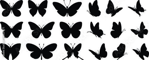 Butterfly silhouette collection, flying insects outline, decorative nature icons, moth vector illustration, black wings design, animal graphic art, cad drawing flat vector illustration"