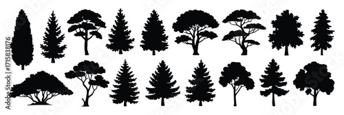 Set of isolated black vector silhouettes of different conifer and forest trees. Graphic icon collection for nature and landscape design