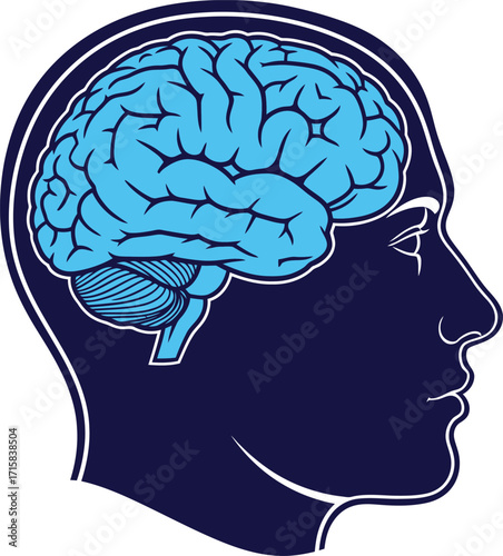 Human head profile with brain illustration in blue and navy.