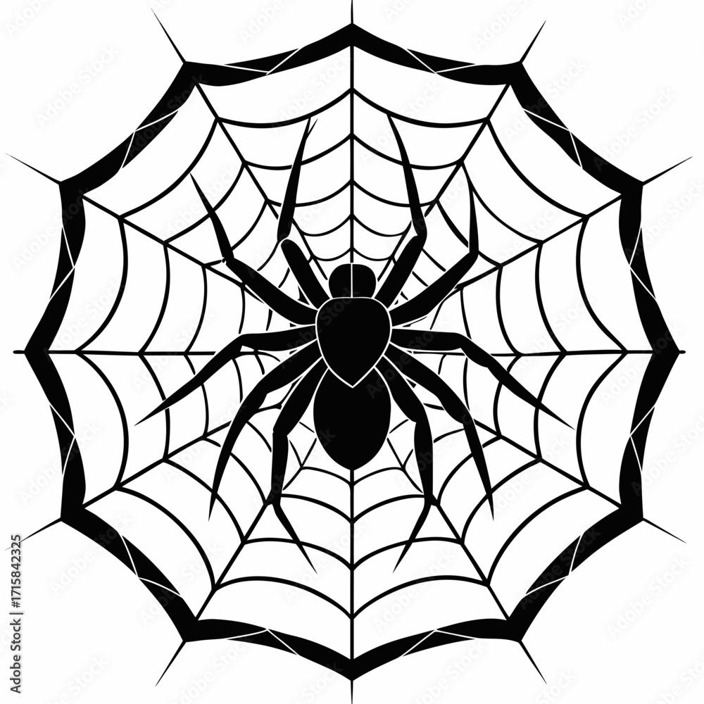 Fototapeta premium spider on web