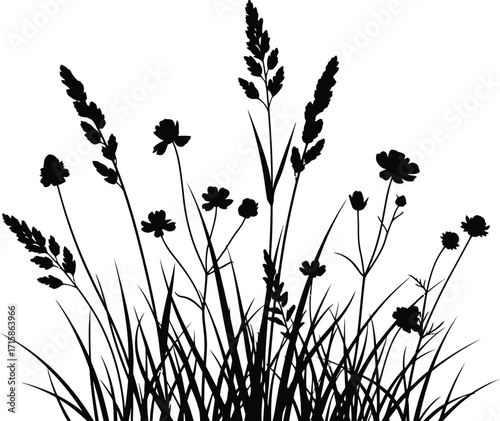A delicate array of wildflowers and grasses sway gently in breeze, a serene reminder of natures simple beauty and resilience