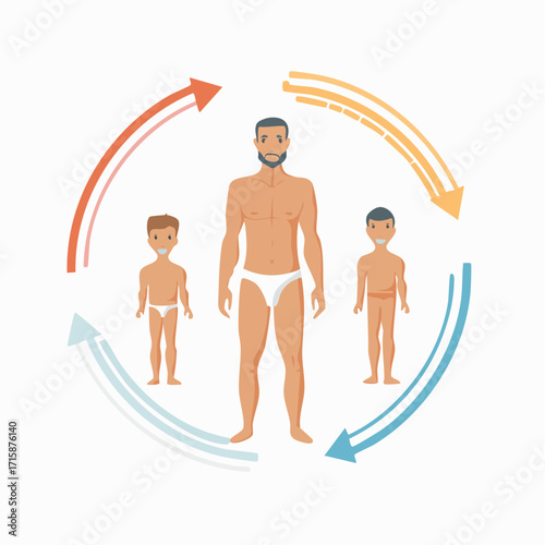 Illustration showing a man transitioning from childhood to adulthood, represented by three figures and circular arrows.