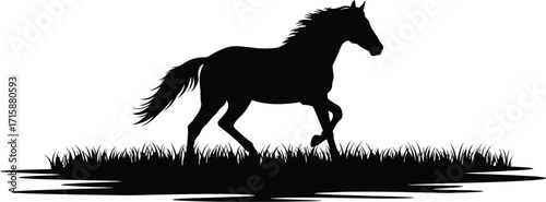 Majestic Silhouette Horse Galloping Gracefully Through Grassy Field