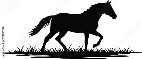 Silhouette of a Horse Walking Through Grass