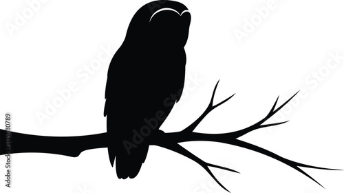Silhouette of Owl Perched on a Branch at Night