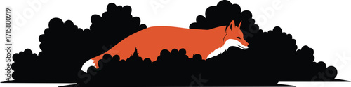 A Red Fox Hunts in a Dark Bush