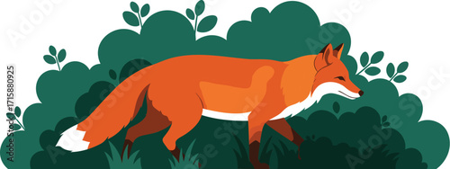 Graceful Fox Walking Through Lush Green Bushes