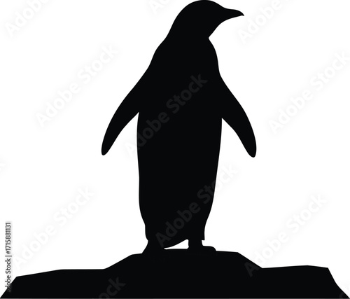 Penguin Silhouette Standing on Ice Floe