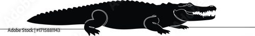 A solitary alligator silhouetted against a white background