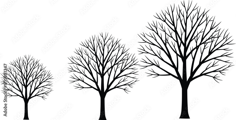 Fototapeta premium Bare Tree Branches Silhouette Against White Background