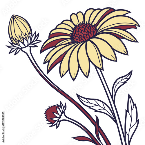 gaillardia gallo yellow with leaves