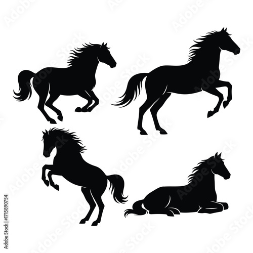 Dynamic silhouette horse poses capturing movement and graceful form collection silhouette