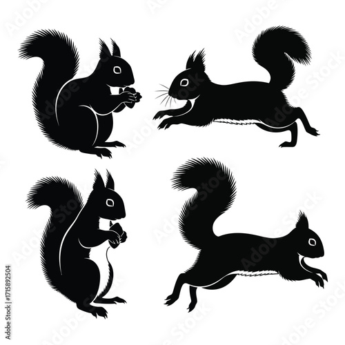 Dynamic silhouettes of four black squirrels in various poses showing movement and activity silhouette