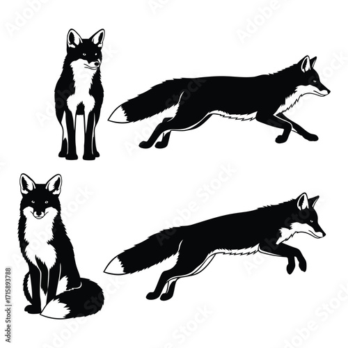 Dynamic set of four realistic fox poses isolated on a for creative projects silhouette