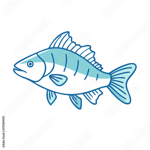 Delicate blue lined drawing of a spiky finned fish underwater animal