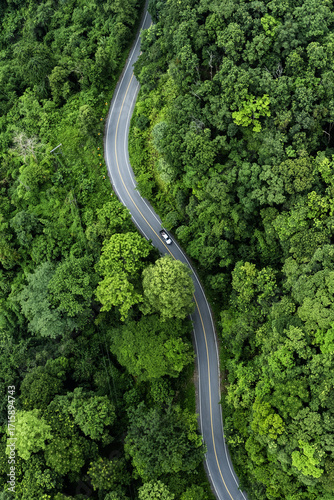Top view road in beautiful autumn forest at sunset, trees with red and orange leaves , Beautiful landscape view from flying drone in Nature