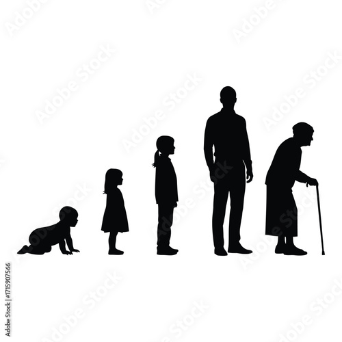 Silhouettes of human life stages from infancy to old age silhouette