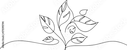 Leaf in One Stroke