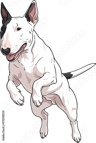 Bull Terrier dog jumping playful cute vector illustration