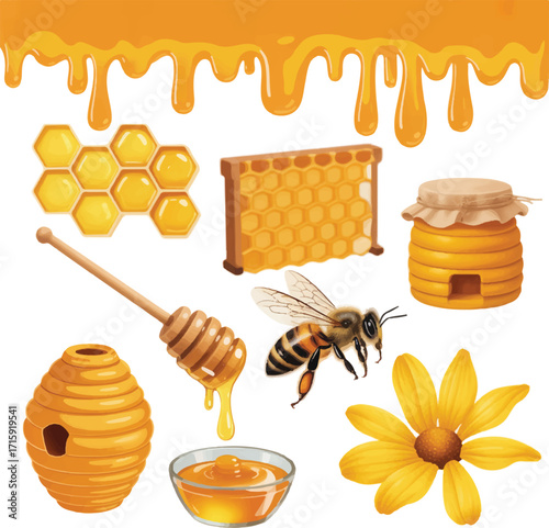 honey and bees