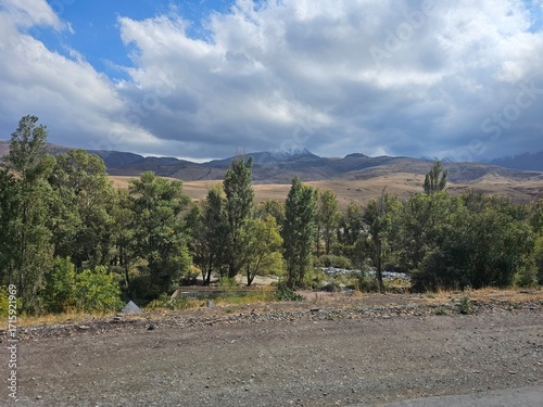 mountain landscape with trees