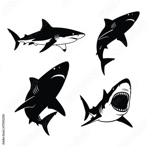 Fierce great white shark silhouettes set marine life aquatic predator illustration silhouette