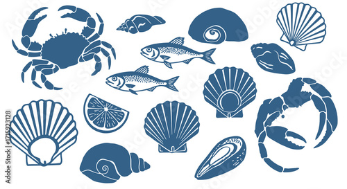 Marine life and seafood vector illustration for design - nautical clipart with shells and fish