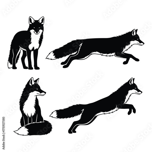 Dynamic fox poses four silhouettes capturing agility and grace in black and white silhouette