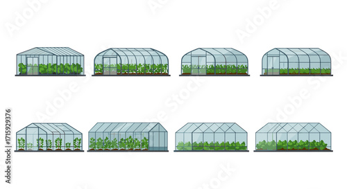 Set of different greenhouse designs with lush plants in modern flat style