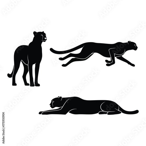 Silhouettes of majestic panthers in dynamic poses for wildlife art and design silhouette