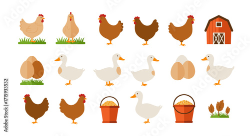 Farm animals and elements collection featuring chickens, ducks, eggs, and barn