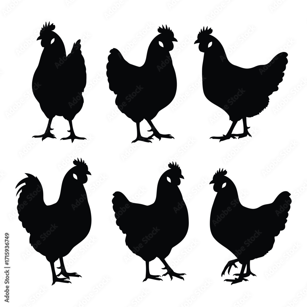 Fototapeta premium Six distinct chicken silhouettes representing different poses for farm and countryside designs silhouette