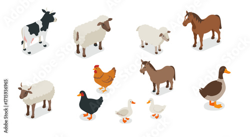 Isometric farm animals with shadow effects for agriculture design