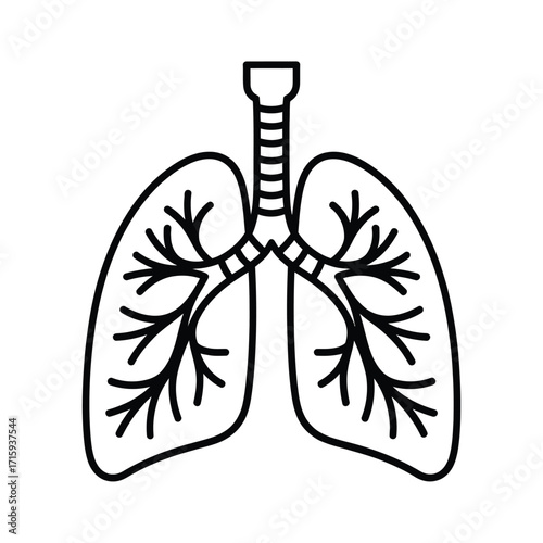 Simple outline vector illustration of human lungs for medical and health graphics eps format silhouette vector illustration white background