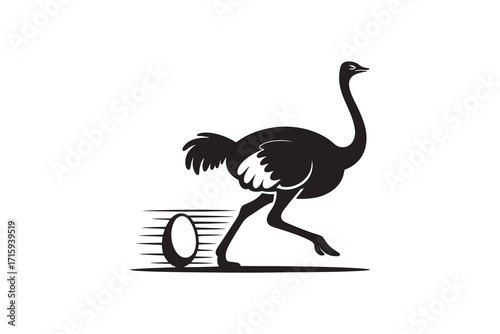 Ostrich silhouette with egg design vector Running ostrich bird silhouette graphic