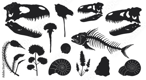 Silhouette fossil collection with prehistoric skulls, fish bones, and plants