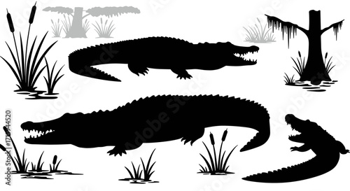 Crocodile silhouettes in swamp landscape with trees and reeds