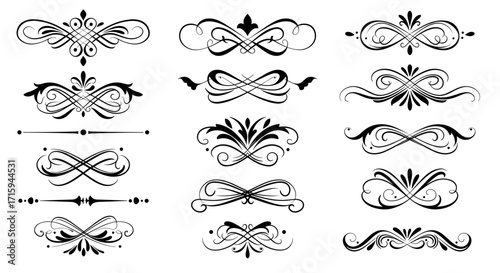 Elegant floral ornaments and swirls in black decoration set