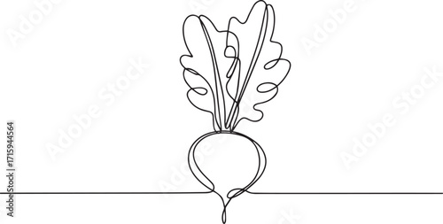 Continuous one line drawing of radish in minimalist modern style vector illustration representing fresh vegetable and organic food concept