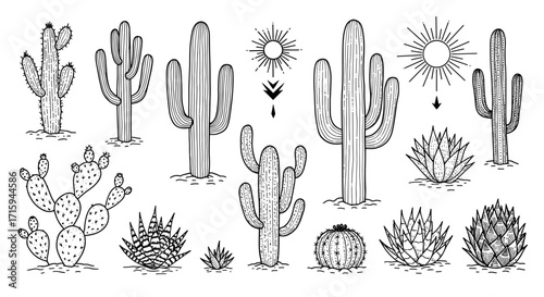 Hand-drawn desert botanical collection with cacti and succulents in black and white