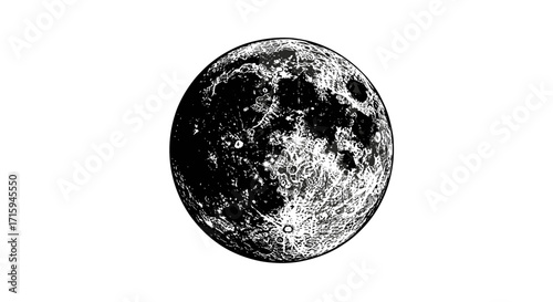 Detailed celestial body with craters on a white background