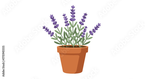 Charming potted lavender plant in minimalist flat style for home decor and nature lovers