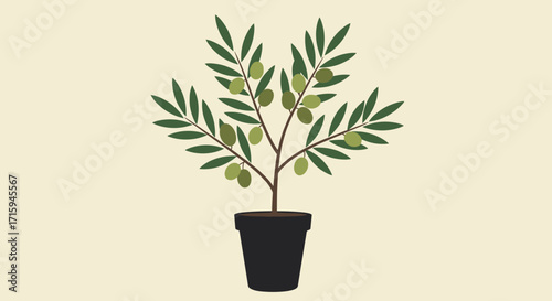 Potted olive tree on beige background with natural green and brown tones