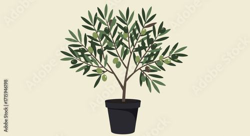 Potted olive tree with green leaves on neutral background