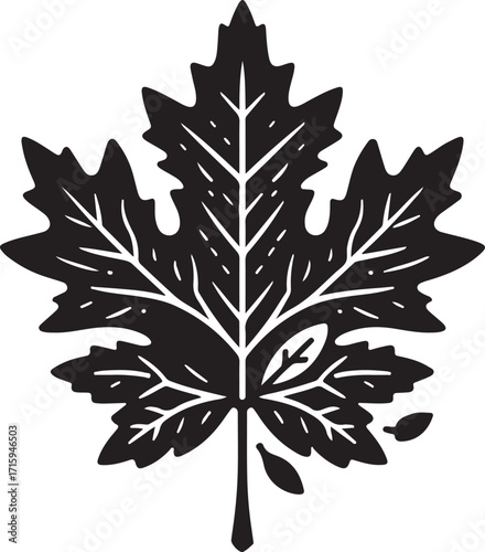 silhouette black Maple leaf, oak leaf, fall colors, thanksgiving season, vector illustration