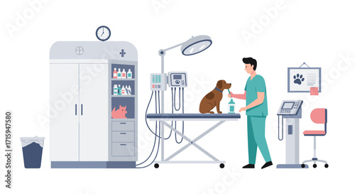 Veterinary clinic interior with veterinarian examining dog on medical table